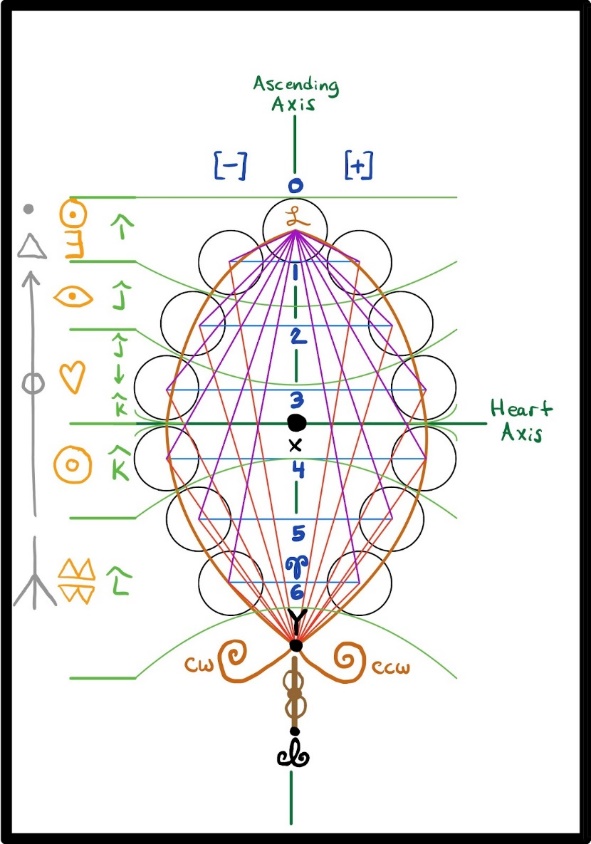 Leaf loop energy body diagram, original